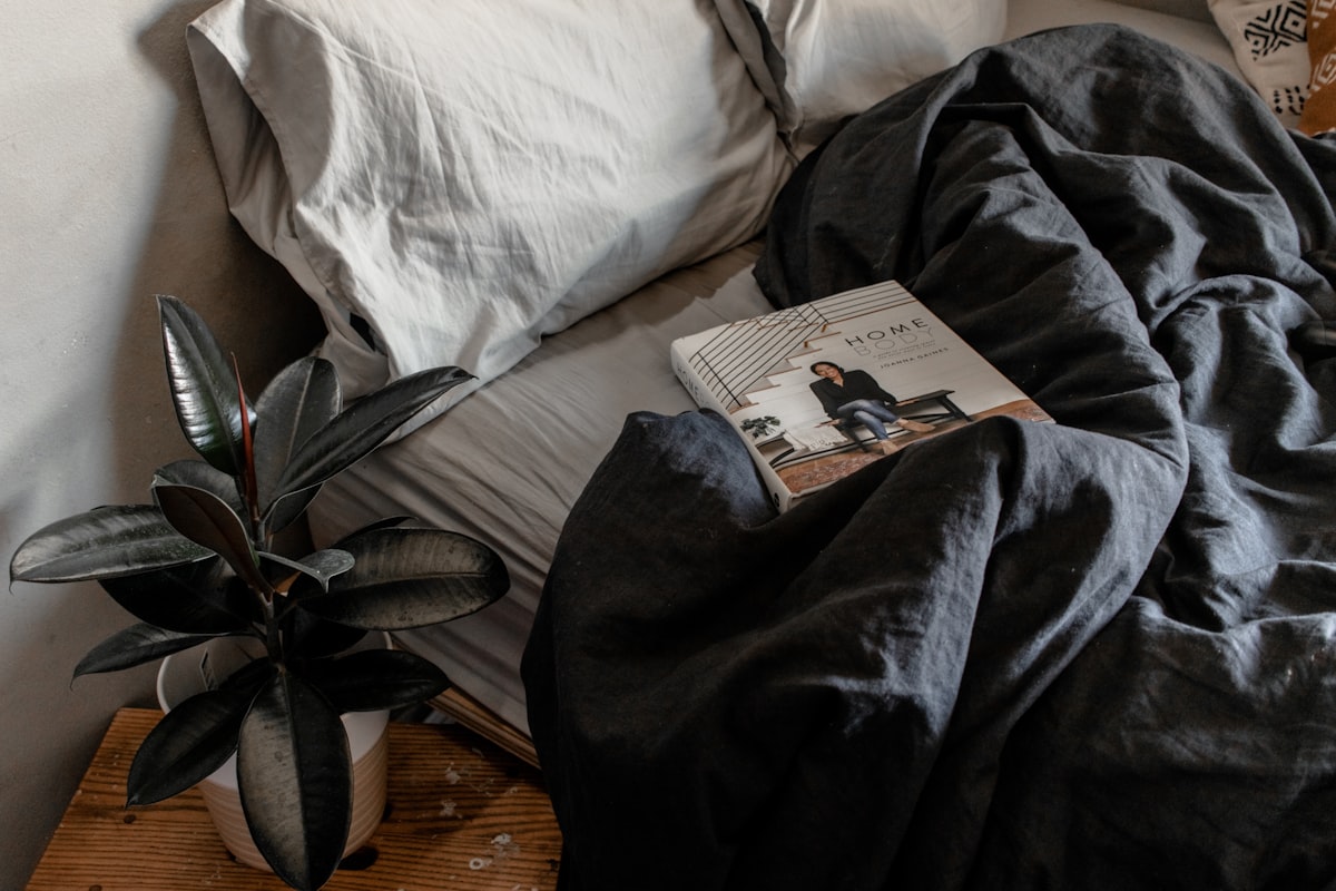 a bed with a plant and a book on it related to Dark Grey Coverlet: A Comprehensive Guide