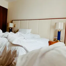 A bed with messy sheets after use. related to Bed Bug Infestation: Don't Panic, Here's What to Do!