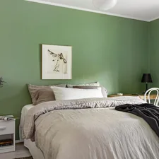 A bedroom with green walls and a white bed related to 8 Dreamy Mint Green Bedding Ideas to Refresh Your Bedroom