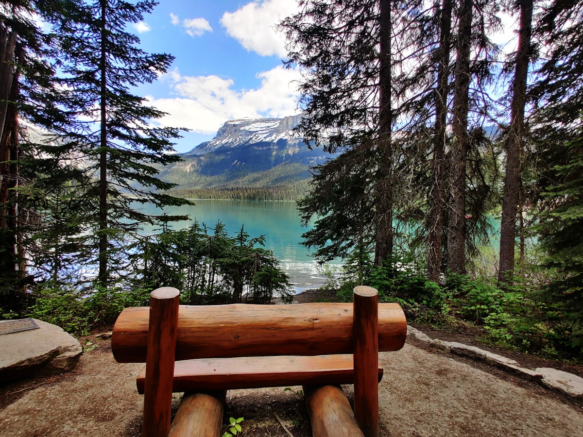 a bench overlooking a lake related to The Ultimate Guide to Entryway Benches in Canada