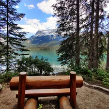 a bench overlooking a lake related to The Ultimate Guide to Entryway Benches in Canada