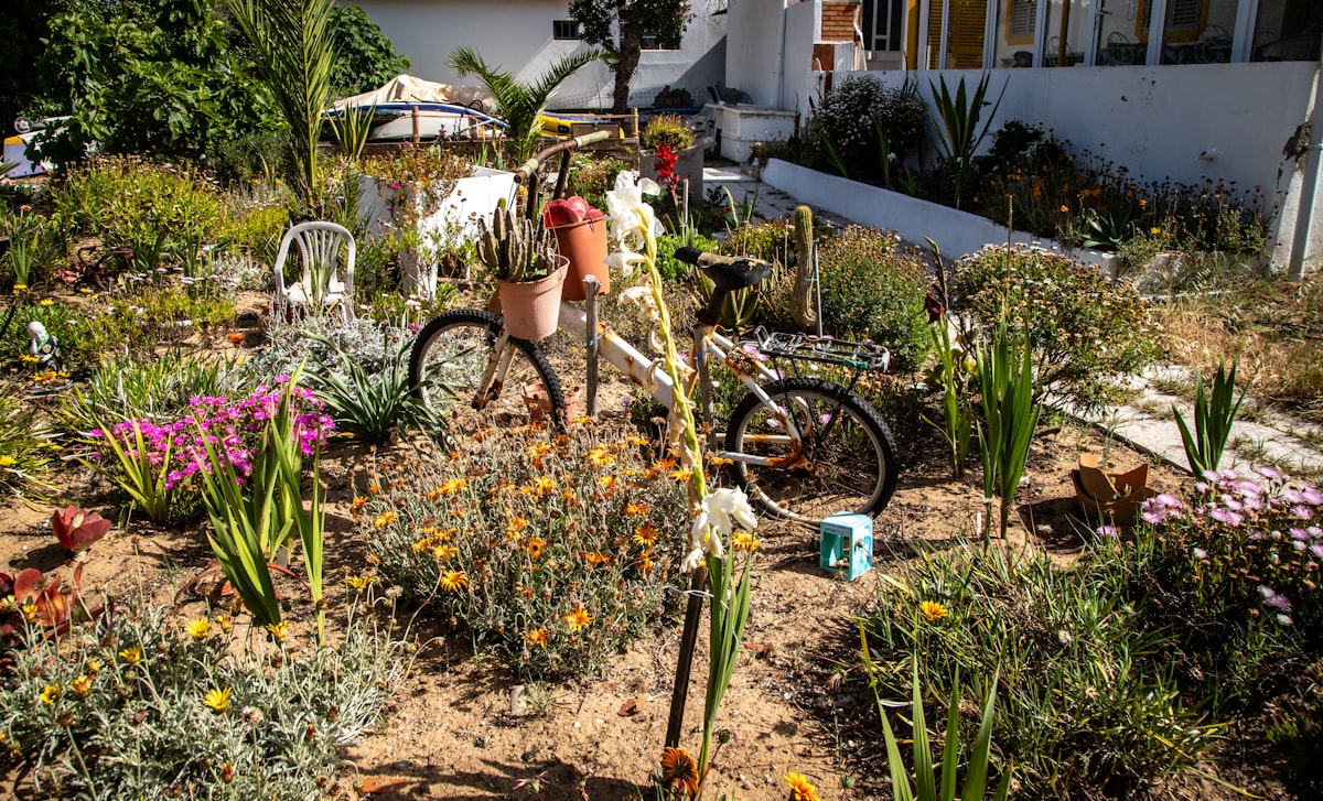 A bicycle with a plant basket in a dry garden related to Discover the Charm of Bed and Breakfasts in Eureka, CA