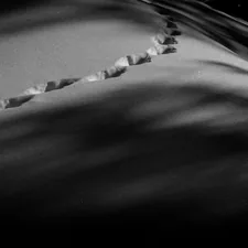 a black and white photo of a bed related to Timeless Elegance: The Ultimate Guide to Black and White Bed Sets