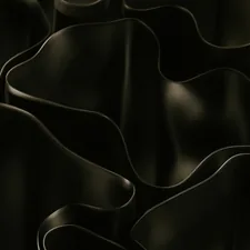 A black and white photo of a bunch of flowers related to Elegant and Dramatic: The Allure of Black Window Valances