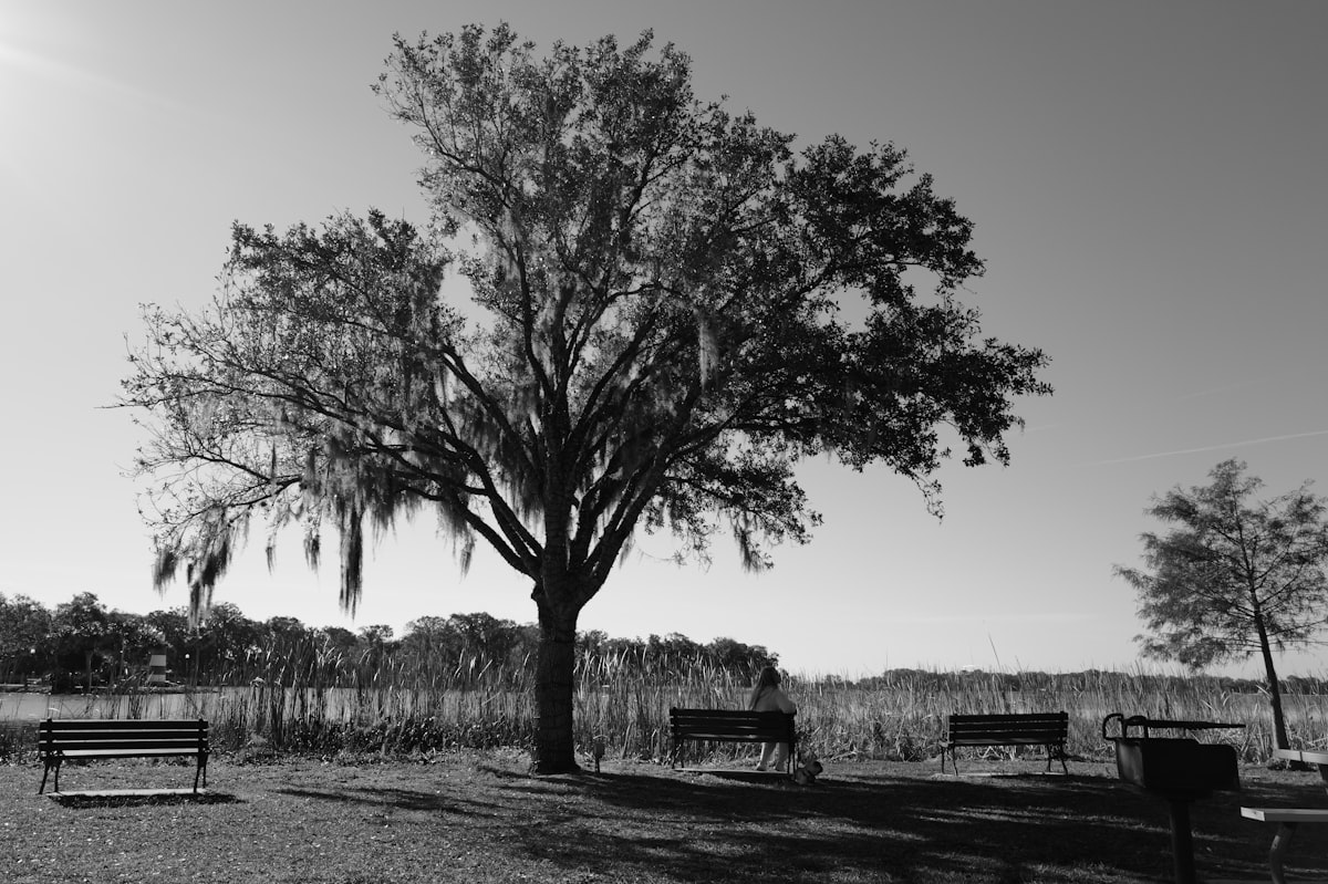 A black and white photo of a tree in a field related to Charming Escapes in Mount Dora