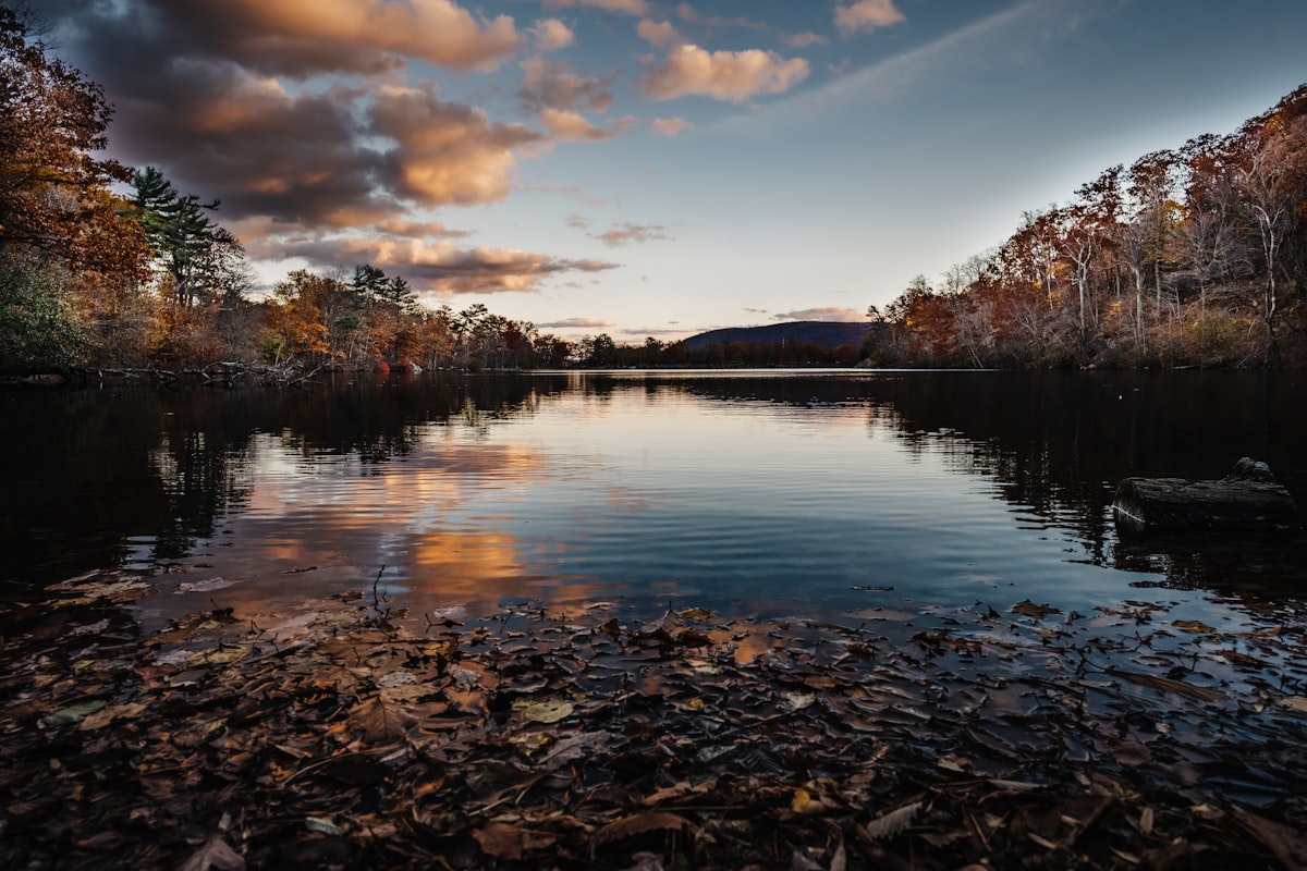 a body of water surrounded by trees and leaves related to Cozy Haven in the Hudson Valley: A Review of New Paltz Bed and Breakfast