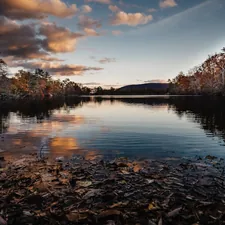 a body of water surrounded by trees and leaves related to Cozy Haven in the Hudson Valley: A Review of New Paltz Bed and Breakfast