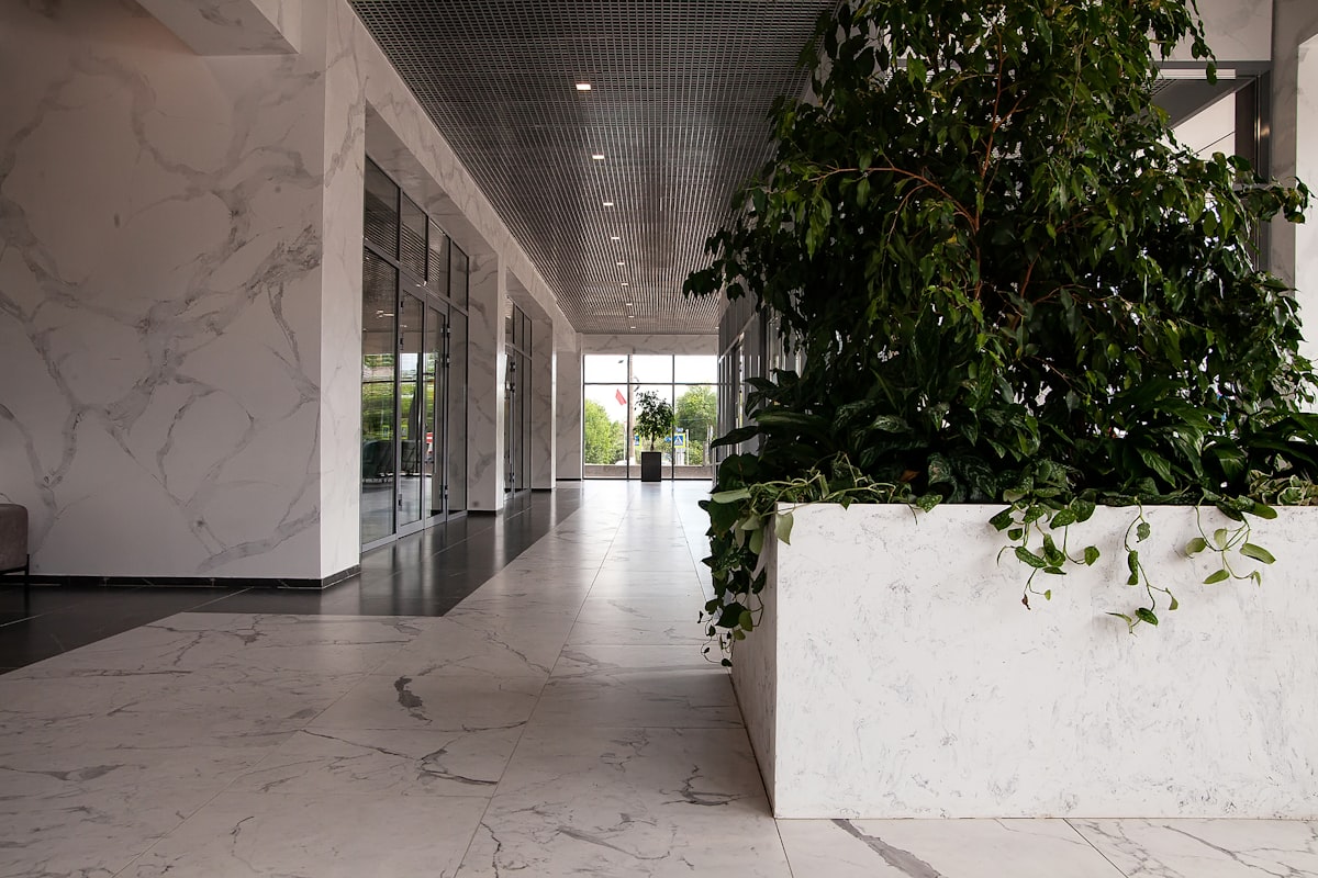 a building with a tree in the front related to Enhancing Your Entryway with Hall Trees