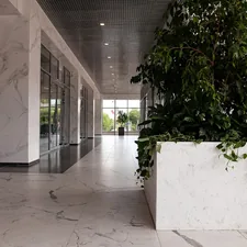 a building with a tree in the front related to Enhancing Your Entryway with Hall Trees