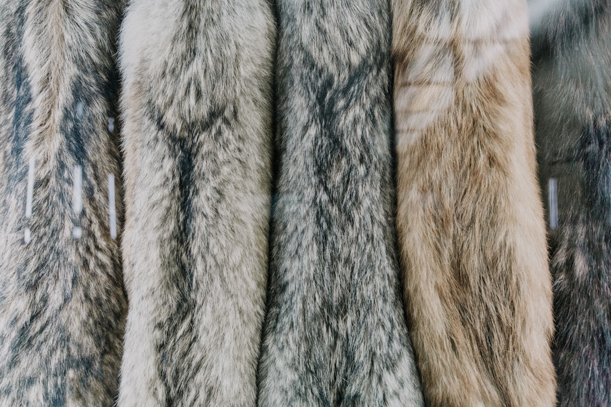a bunch of fur coats hanging on a rack related to Faux Fur Coverlet: Luxurious Comfort for Your Home