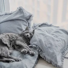 a cat laying on top of a bed next to a window related to Best Grey Coverlet Sets Reviews