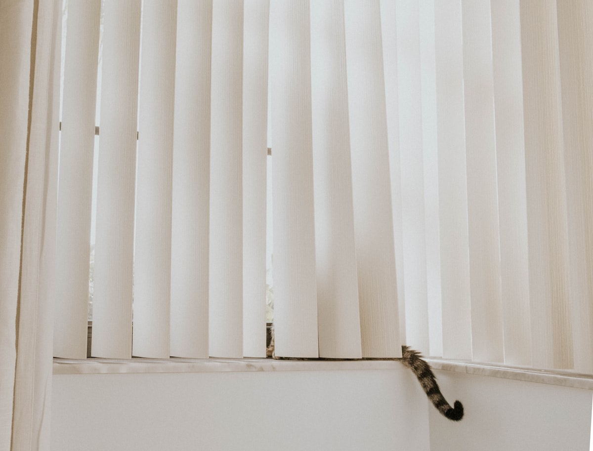 a cat sitting on a window sill next to a curtain related to Vertical Blind Valance Clips - Enhance Your Window Treatment