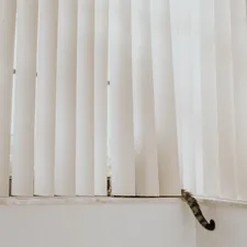 a cat sitting on a window sill next to a curtain related to Vertical Blind Valance Clips - Enhance Your Window Treatment
