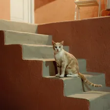 A cat sitting on the steps of a house related to Climbing to Comfy Heights: Cat Stairs for Bed Elevations