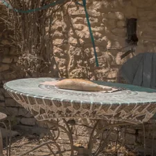A charming outdoor table with a colorful mosaic top is set with a fresh loaf of bread, inviting relaxation in a sun-dappled courtyard. Surrounded by wrought iron chairs and stone walls, this cozy corner reflects the warm, welcoming atmosphere of a Provencal farmhouse related to Add a Touch of French Country Charm with the Perfect Valance