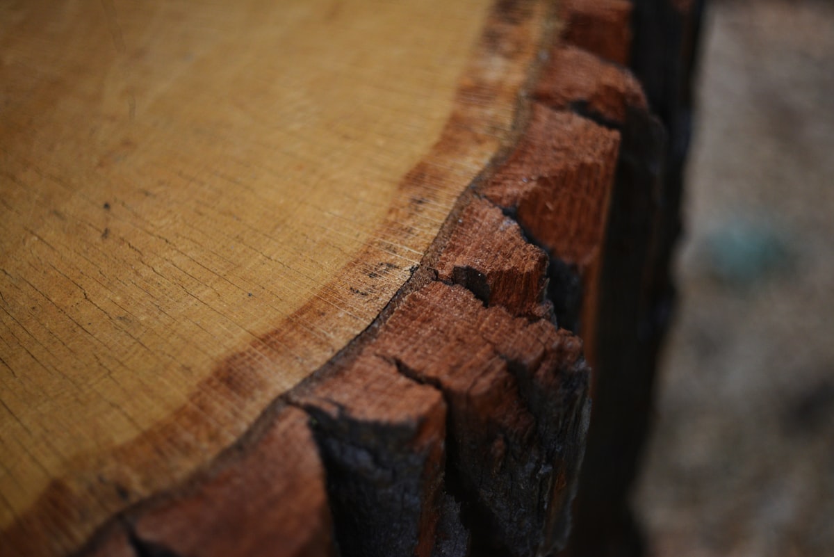 A close up of a piece of wood related to The Ultimate Guide to Choosing the Perfect Log Bed Frame