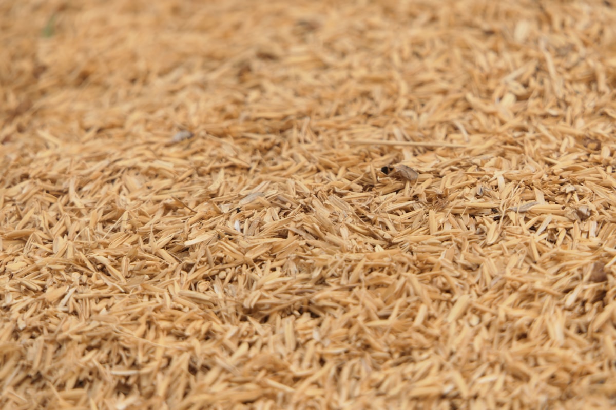 a close up of a pile of brown rice related to The Ultimate Guide to Small Animal Bedding