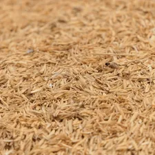 a close up of a pile of brown rice related to The Ultimate Guide to Small Animal Bedding