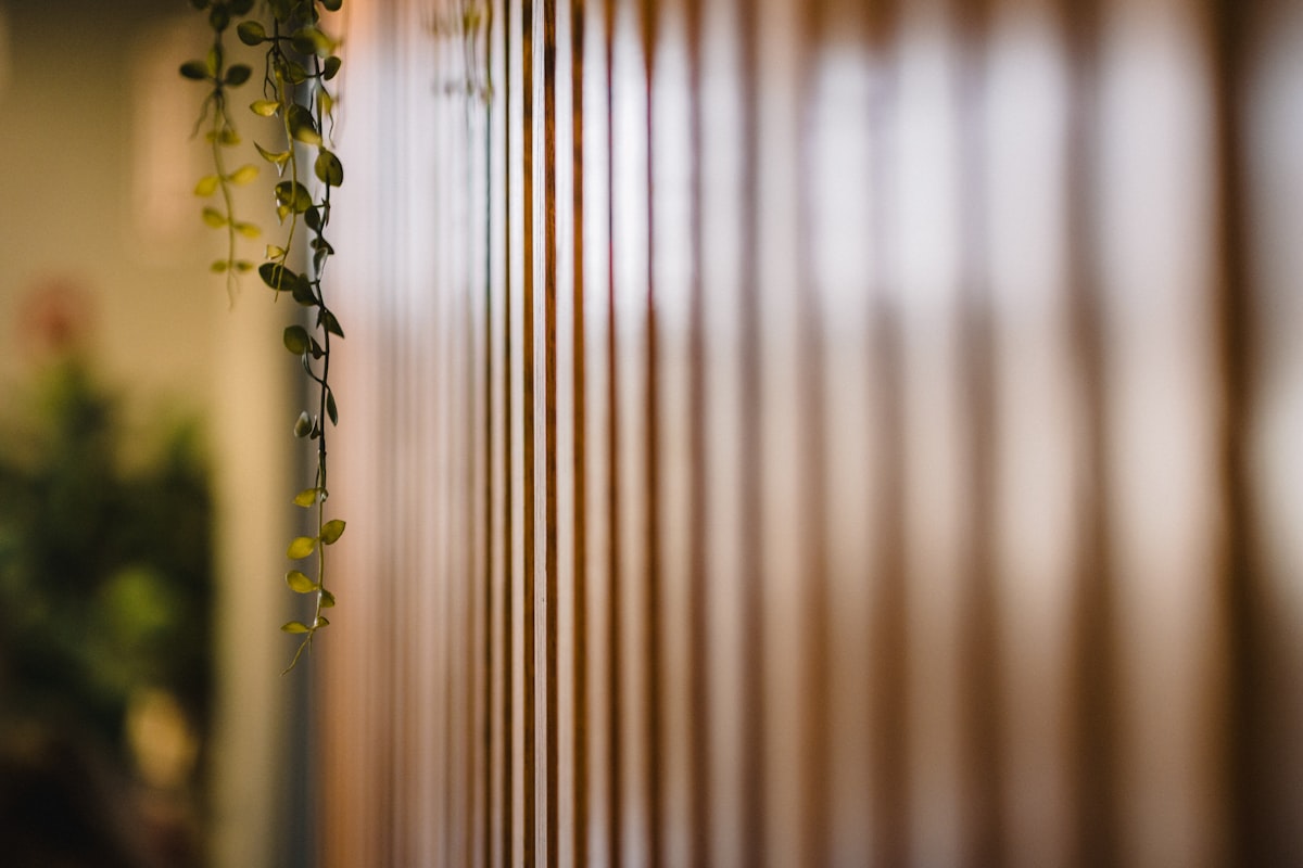 a close up of a window with a plant growing on it related to Vertical Blinds with Valance