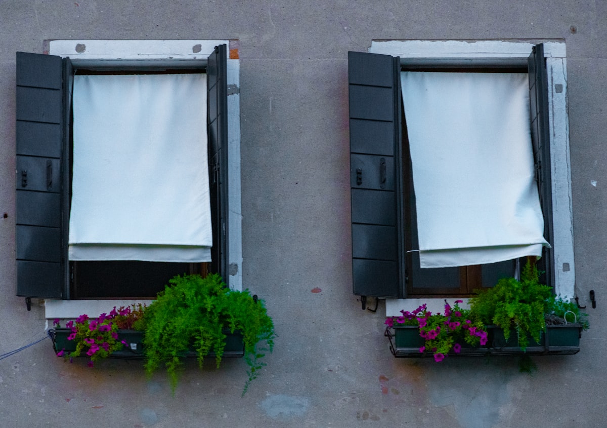 a couple of windows that have plants in them related to Modern Window Valance Styles