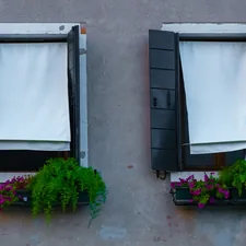 a couple of windows that have plants in them related to Modern Window Valance Styles