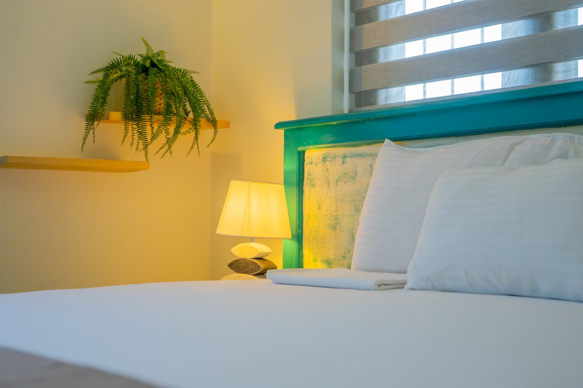 A cozy and minimal bedroom corner featuring a white bed with soft pillows, a rustic teal headboard, a warm bedside lamp, and a hanging green fern. The soft lighting and natural accents create a calming, restful ambiance. related to Chill Out with Light Blue Bedding