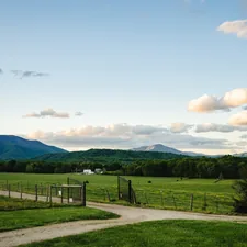 a dirt road going through a lush green field related to Experience the Charm of the Old Dominion: A Guide to Bed and Breakfasts in Virginia