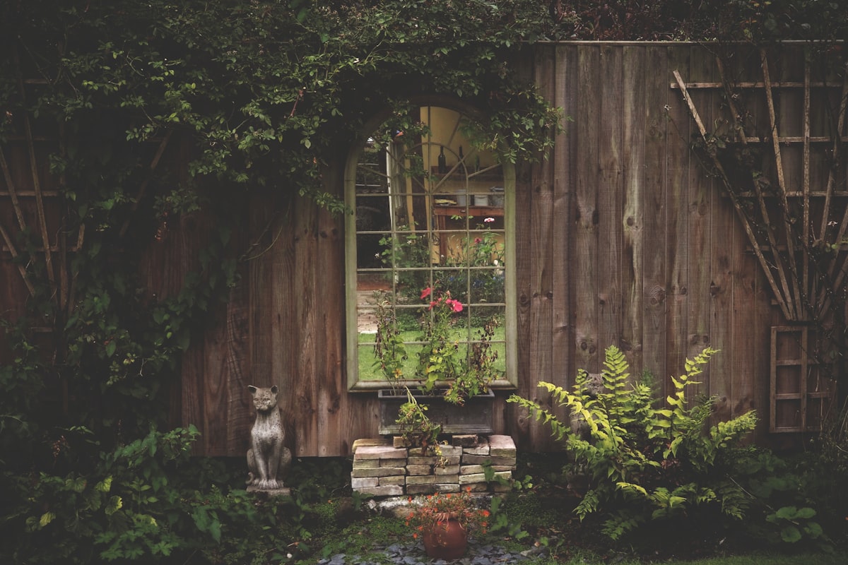 a dog standing in front of a window in a garden related to Add a Rustic Charm to Your Kitchen with Country Valances