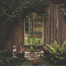 a dog standing in front of a window in a garden related to Add a Rustic Charm to Your Kitchen with Country Valances