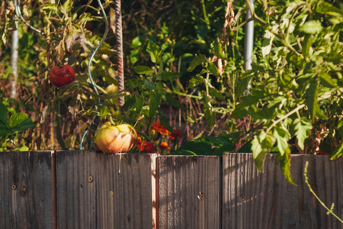 a fence that has some fruit on top of it related to Ultimate Guide to Raised Garden Bed Plans