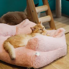 A ginger kitten, with an expression mirroring a human yawn, gently covers its mouth with a paw as it nestles deeply into a plush, pink cat bed. This close-up, taken in a vibrant Taichung cat cafe, captures a moment of pure contentment. related to Ultimate Comfort: Dr. Fosters Dog Beds for Your Furry Friend