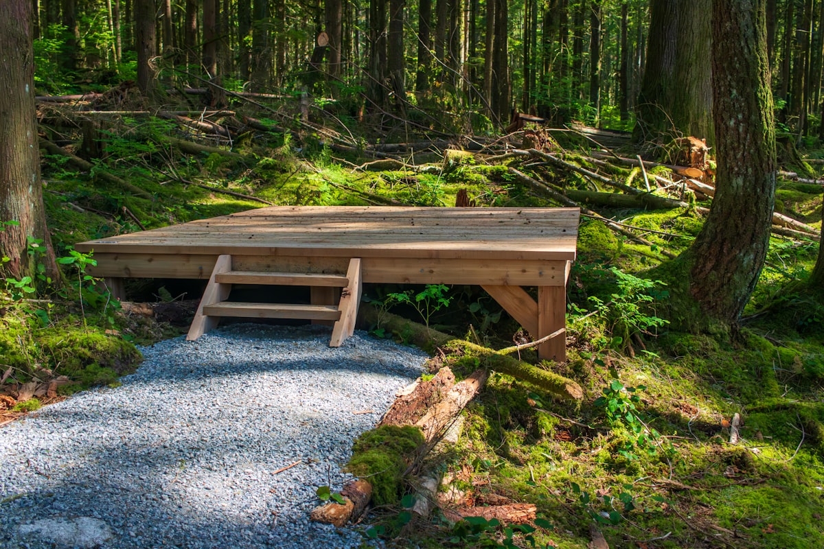 A gravel trail leading to a cedar camping platform in the middle of a green and mossy Pacific Northwest forest. related to How to Build a Platform Bed Frame