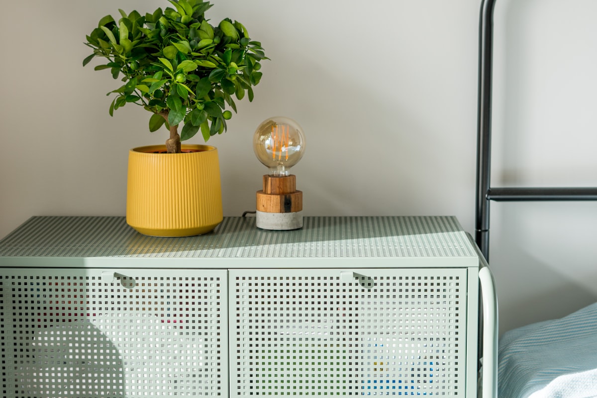 A green plant sitting on top of a green cabinet related to Elevate Your Home Decor with a Metal Sideboard Cabinet