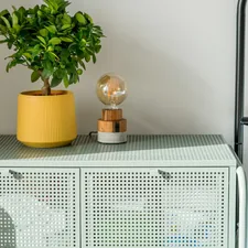 A green plant sitting on top of a green cabinet related to Elevate Your Home Decor with a Metal Sideboard Cabinet