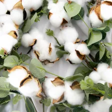 a group of white flowers related to The Benefits of Choosing Organic Cotton Coverlets