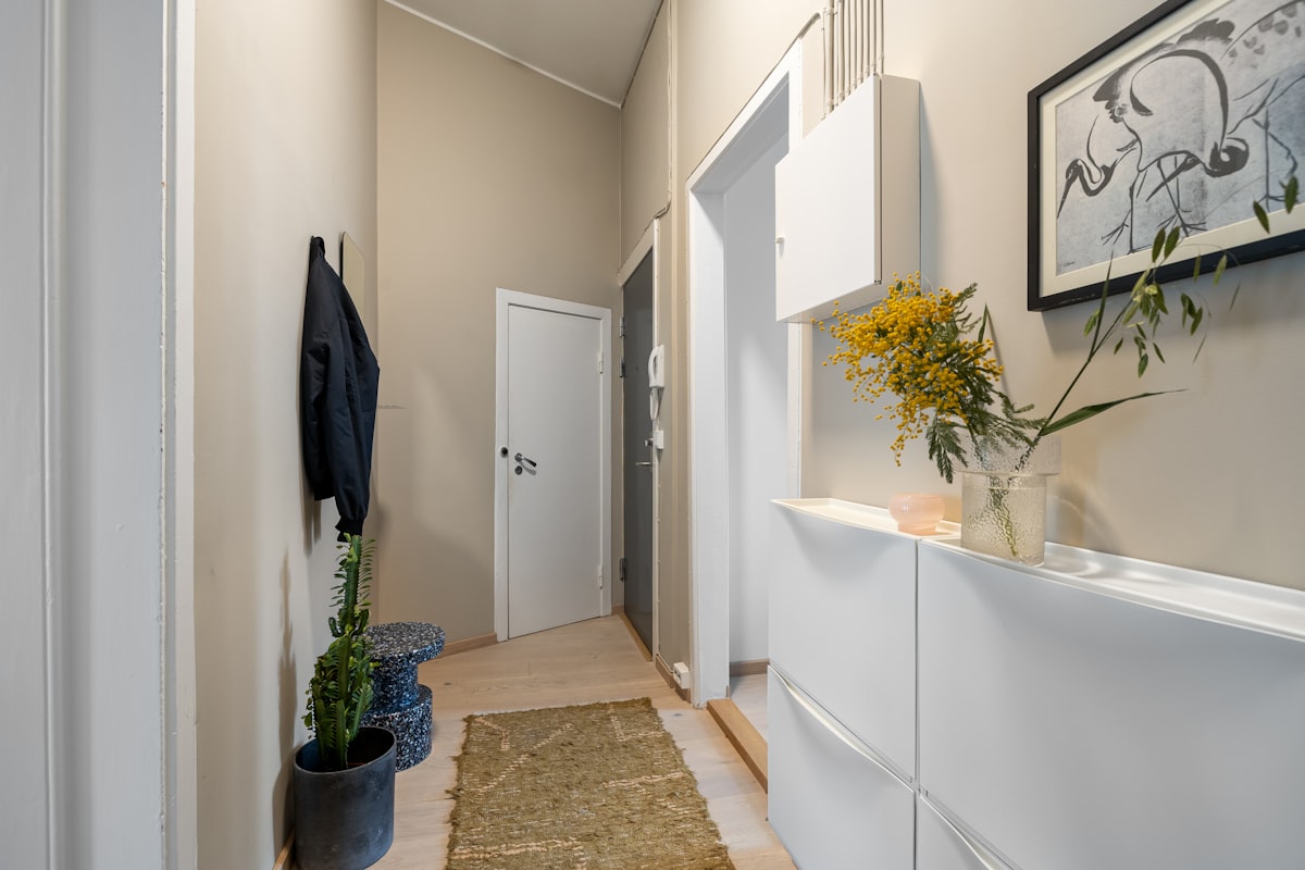 A hallway with a rug on the floor and a picture on the wall related to Elevate Your Entryway with Stylish Storage: Narrow Entryway Cabinet Solutions