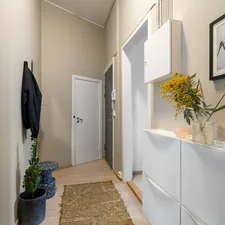 A hallway with a rug on the floor and a picture on the wall related to Elevate Your Entryway with Stylish Storage: Narrow Entryway Cabinet Solutions