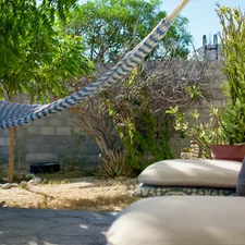 A hammock hangs in a sunny backyard with outdoor seating. related to Protect Your Outdoor Oasis: Essential Extra Large Chiminea Cover