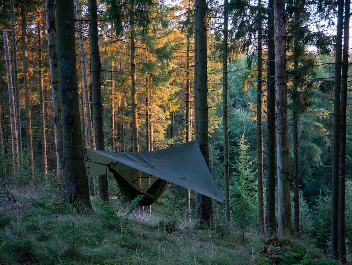 a hammock in the middle of a forest related to DIY Swag Valance: Easy & Stylish Decoration Ideas
