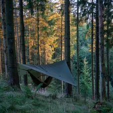 a hammock in the middle of a forest related to DIY Swag Valance: Easy & Stylish Decoration Ideas