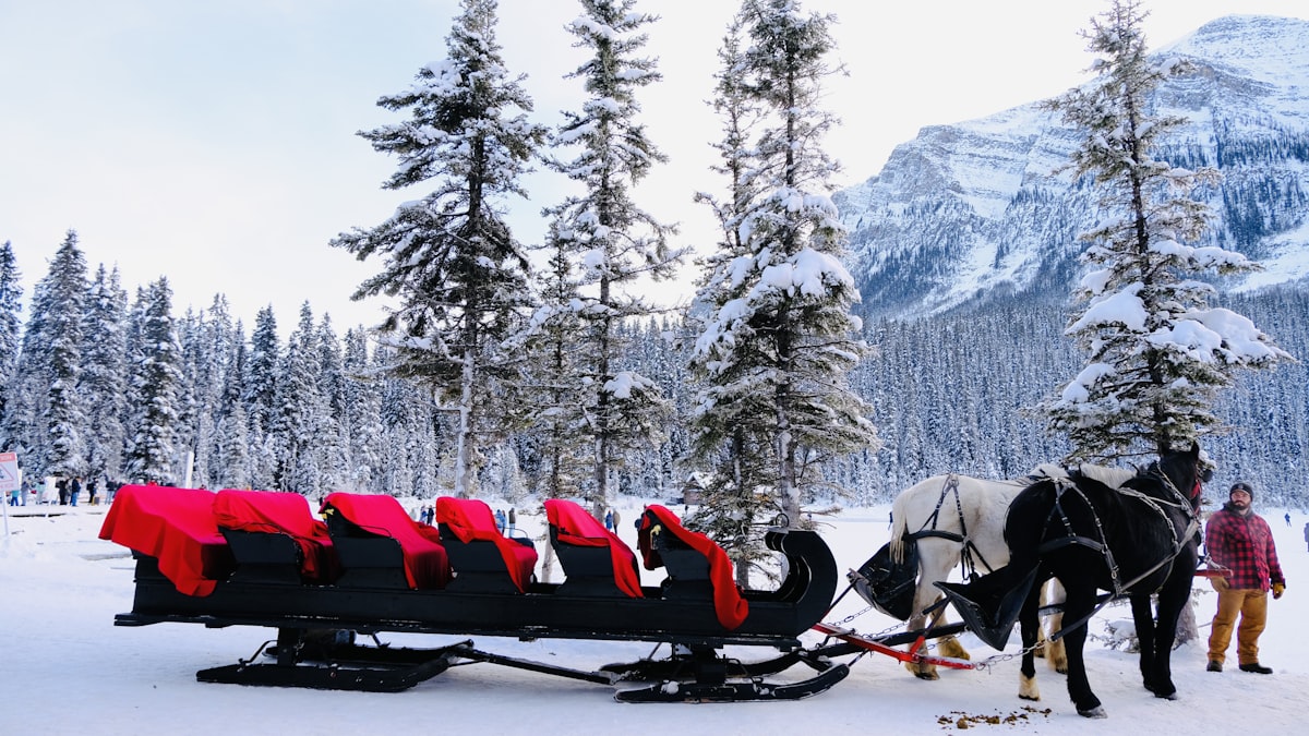 a horse pulling a sleigh in the snow related to Discover the Perfect Sleigh Bed: A Guide to Stylish Comfort