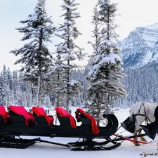 a horse pulling a sleigh in the snow related to Discover the Perfect Sleigh Bed: A Guide to Stylish Comfort