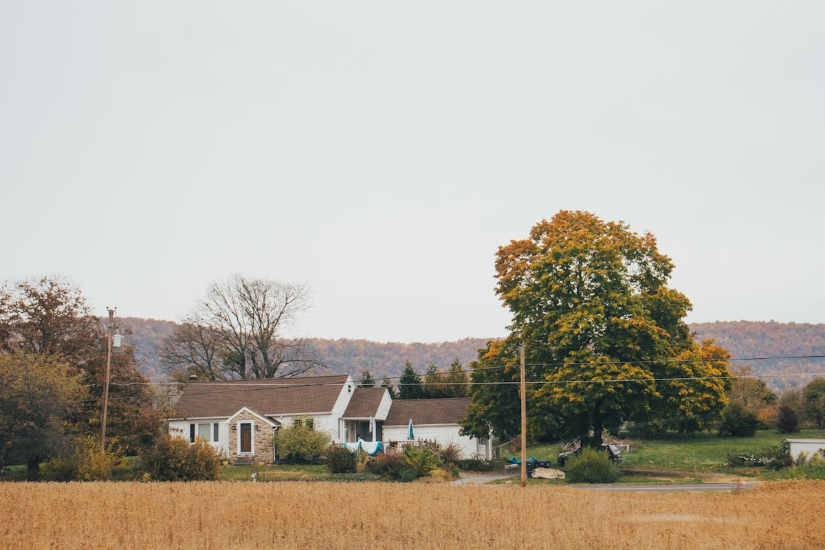 a house with a tree in the front related to Bringing the Charm of the Country Side to Your Home: Country Style Curtains and Valances