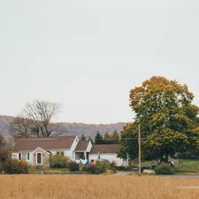 a house with a tree in the front related to Bringing the Charm of the Country Side to Your Home: Country Style Curtains and Valances