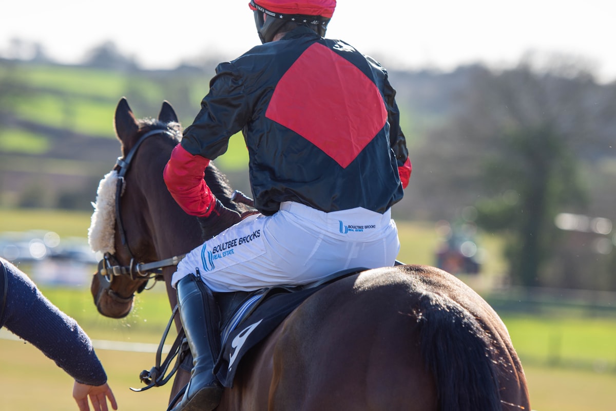 a jockey is riding a horse in a field related to Roush Rear Valance: Enhancing Your Vehicle's Performance and Style