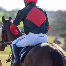 a jockey is riding a horse in a field related to Roush Rear Valance: Enhancing Your Vehicle's Performance and Style