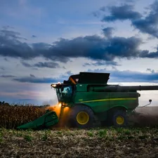 a large green tractor in a corn field related to The Ultimate Guide to John Deere Toddler Bedding: Cozy Comfort for Little Farmers