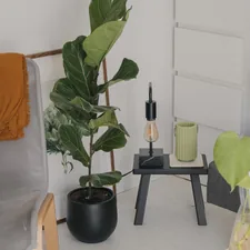 a living room with a couch, chair and a plant related to Elevate Your Home Decor with Red Window Valances