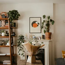 a living room with a fireplace and shelves with plants related to Enhancing Your Space