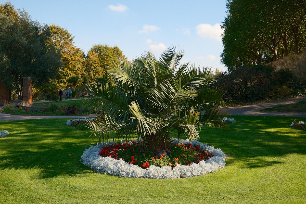 A palm tree in a garden with flowers related to Transform Your Garden with Stunning Rock Flower Beds
